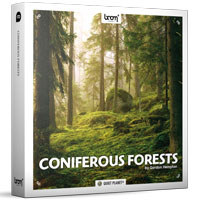 Boom Library Coniferous Forests [Stereo + Surround]